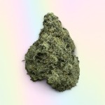 Chocolate Mint OG Strain