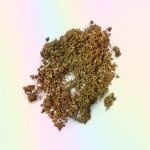 Purple Lemonade SHAKE