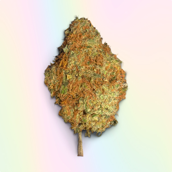 THC Flowers UK Buy THC Flowers Weed UK Cannabis Shop High THC