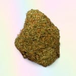 Pineapple Sherbet Strain