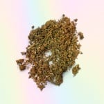 Purple Lemonade SHAKE