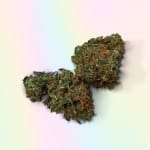 Purple Lemonade Strain